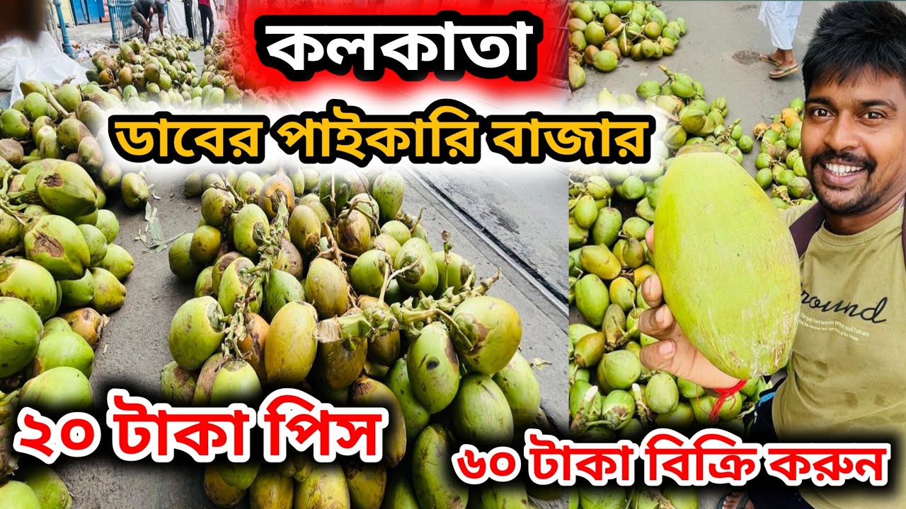 ডাব পাইকারি বাজার কলকাতা || Green coconut wholesale market in kolkata #greencoconut 