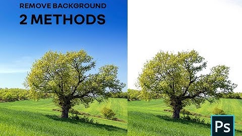 REMOVE TREES BACKGROUND IN PHOTOSHOP