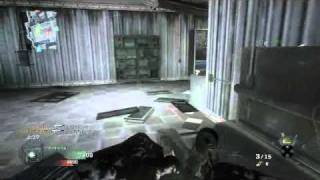 PlywoodTiger - Python Acog Killcam