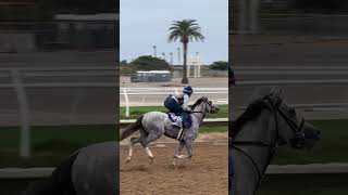 Lennilu & Andie Biancone Make For A Perfect Pair. 🫶 Resimi