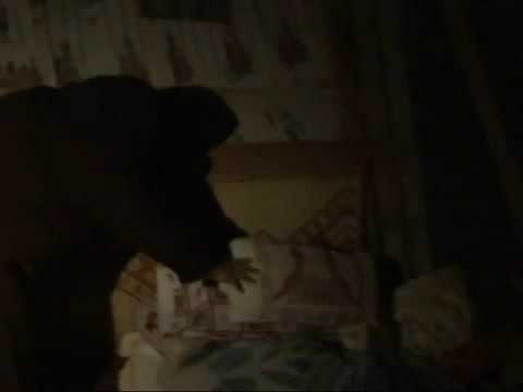 Qatar TV The Israeli War On Gaza 2009 New Refugees 