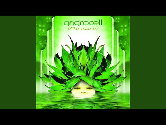 Androcell - Neurosomatic Circuit