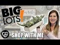 WHAT DID WE BUY AT BIG LOTS? BIG LOTS SHOP WITH ME | SHOPPING FOR HOME DECOR | PHILLIPS FamBam Hauls