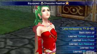 terra's super level up in DISSIDIA FINAL FANTASY