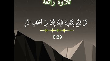 تلاوة جميلة جدا للقارئ أيمن الضالعي