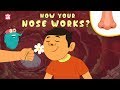 How your nose works  the dr binocs show  best learnings for kids  peekaboo kidz