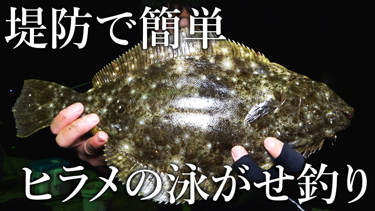 堤防から狙うヒラメの簡単泳がせ釣りと 釣果がさらに上がる方法 を紹介 Youtube