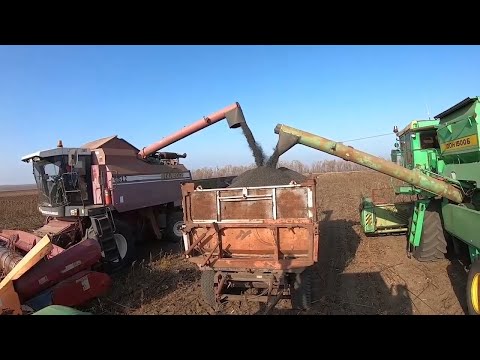 Продовольственная безопасность