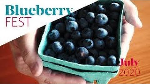 Scallop Crudo with Lavender Pickled BC Blueberries | UBC Blueberry Fest 2020