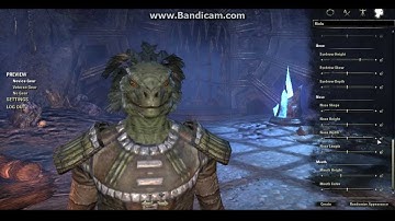 The Elder Scrolls: Online (Beta) - Part 1 - Creating a Character!