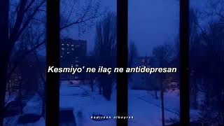 anti persan