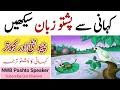 Learn Pashto From Story Urdu To Pashto Translation