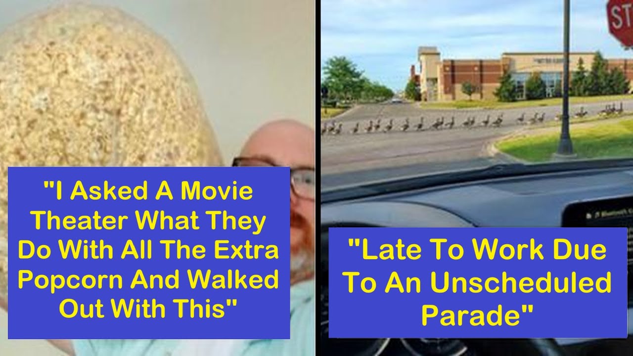 Wholesome Posts That Feel Like a Hug on a Tough Day | Happy And Fun