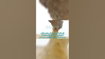 #سورة_البقرة #آیه نود و ششم #قرآن #الله #سورة #بقرة #آیات #قرآن_كريم #تلاوت #قران #قرائت #قران_كريم