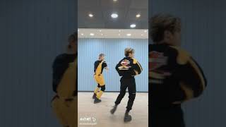 gods menu - stray kids chorus dance mirror