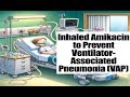 Inhaled amikacin to preventventilatorassociated pneumonia amikinhal trial