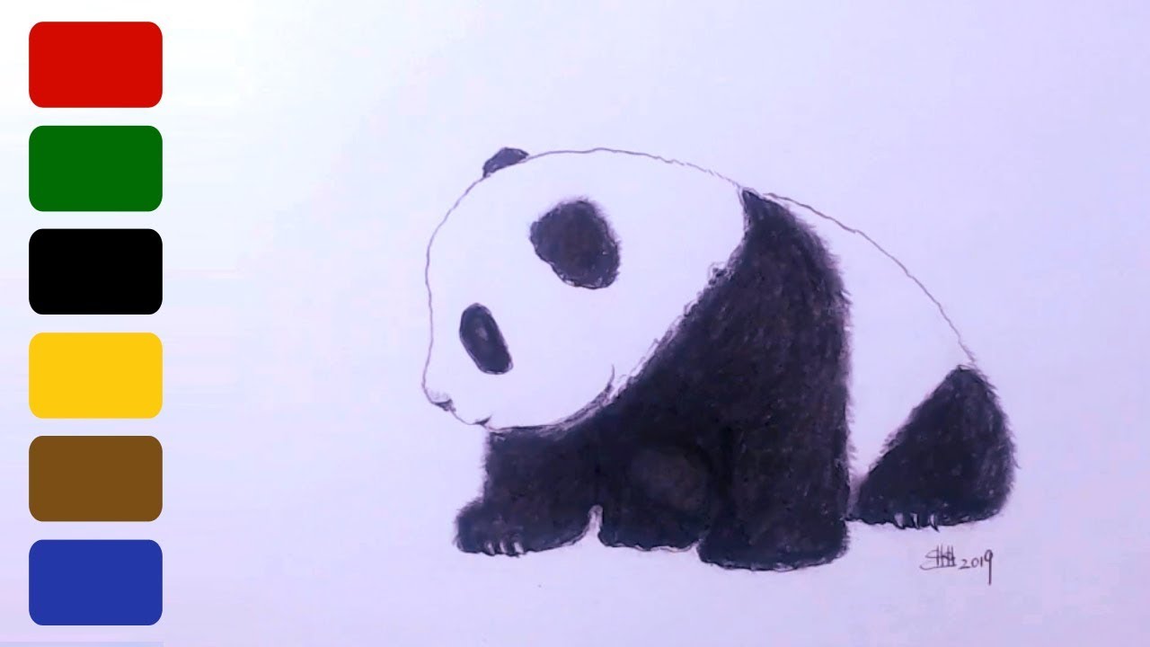 Realistic Baby Panda Drawings