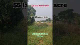 3 Acres mango 🥭 farm land sale near Denkanikotta at just 55 lakhs per acre