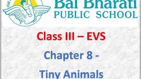 III EVS Chapter 8 Tiny Animals Part 1