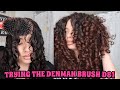 TRYING THE DENMAN BRUSH D81 FOR CURL DEFINITION | A better Denman Brush?! (2c,3a,3b curls)