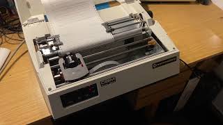 Commodore 8024 Printer