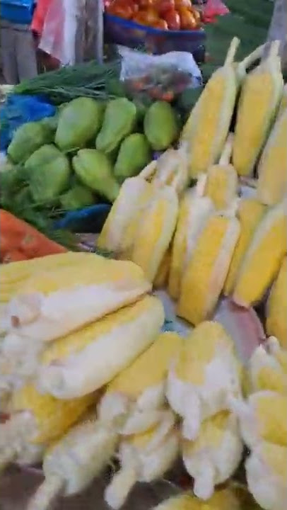Belanja sayur dan lauk di pasar rakyat Pontianak.