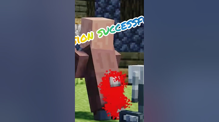 Who Knows About This End Rod? 😂 Villager Confused!"