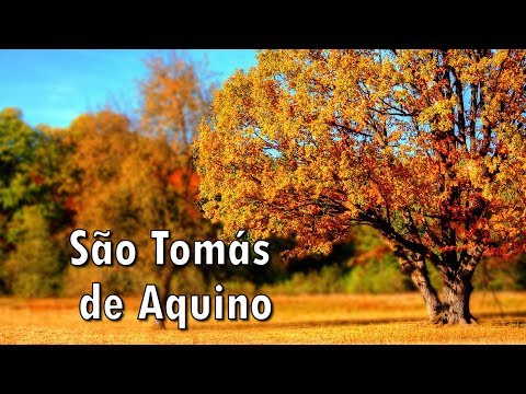 Oração para antes dos estudos -TV ARAUTOS