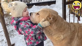 A Babys Hug That Touched A Dogs Soul