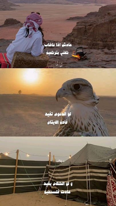 'لو الدموع تفيد فادن الايتام' .. 'ولو الكلام يفيد عادت فلسطين' .. ✍️/'محمد بن فطيس'