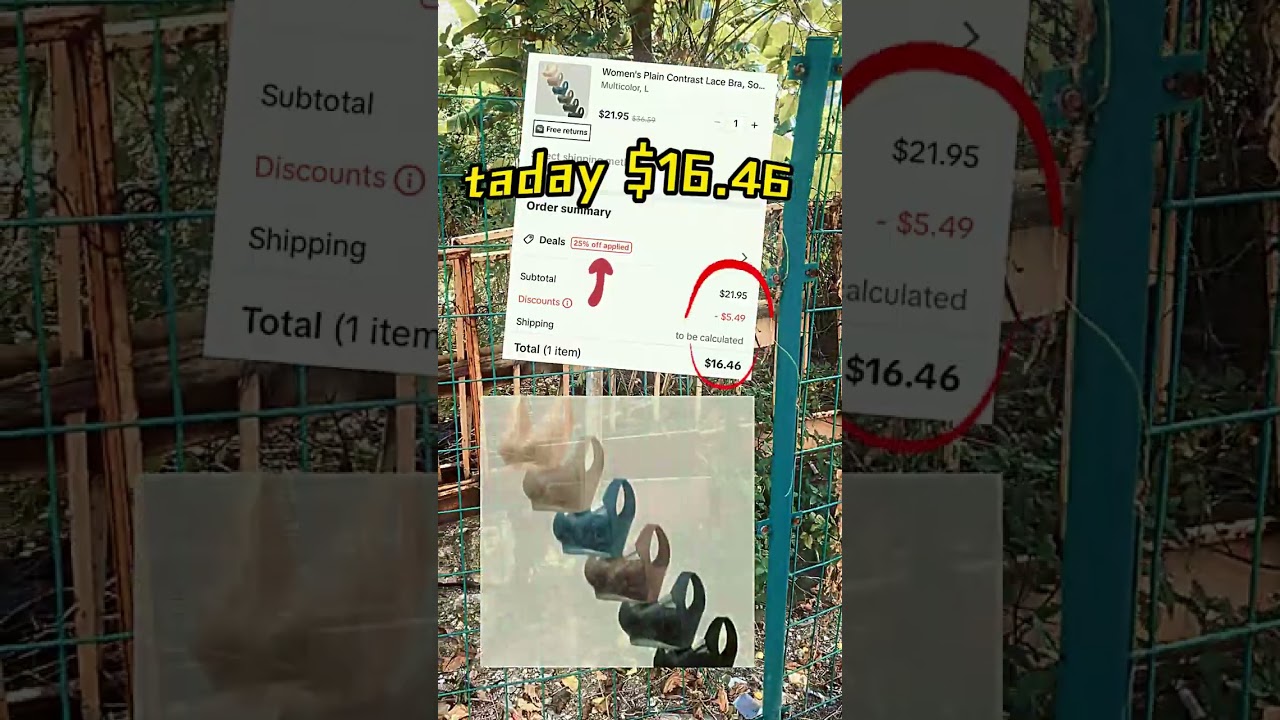 Affordable lace bras under $20