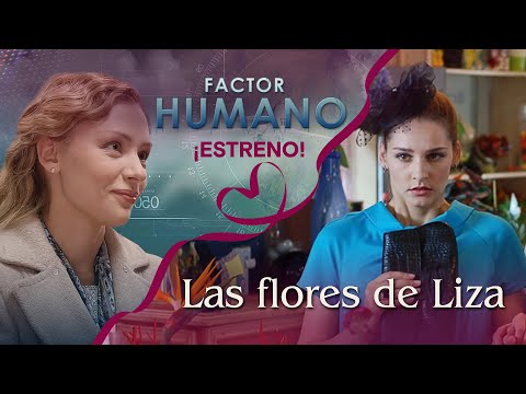 Maratón de películas románticas completas en español