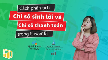 Cách Phân Tích Chỉ Số Sinh Lời - Chỉ Số Thanh Toán Trên Power BI | Drb - Power BI