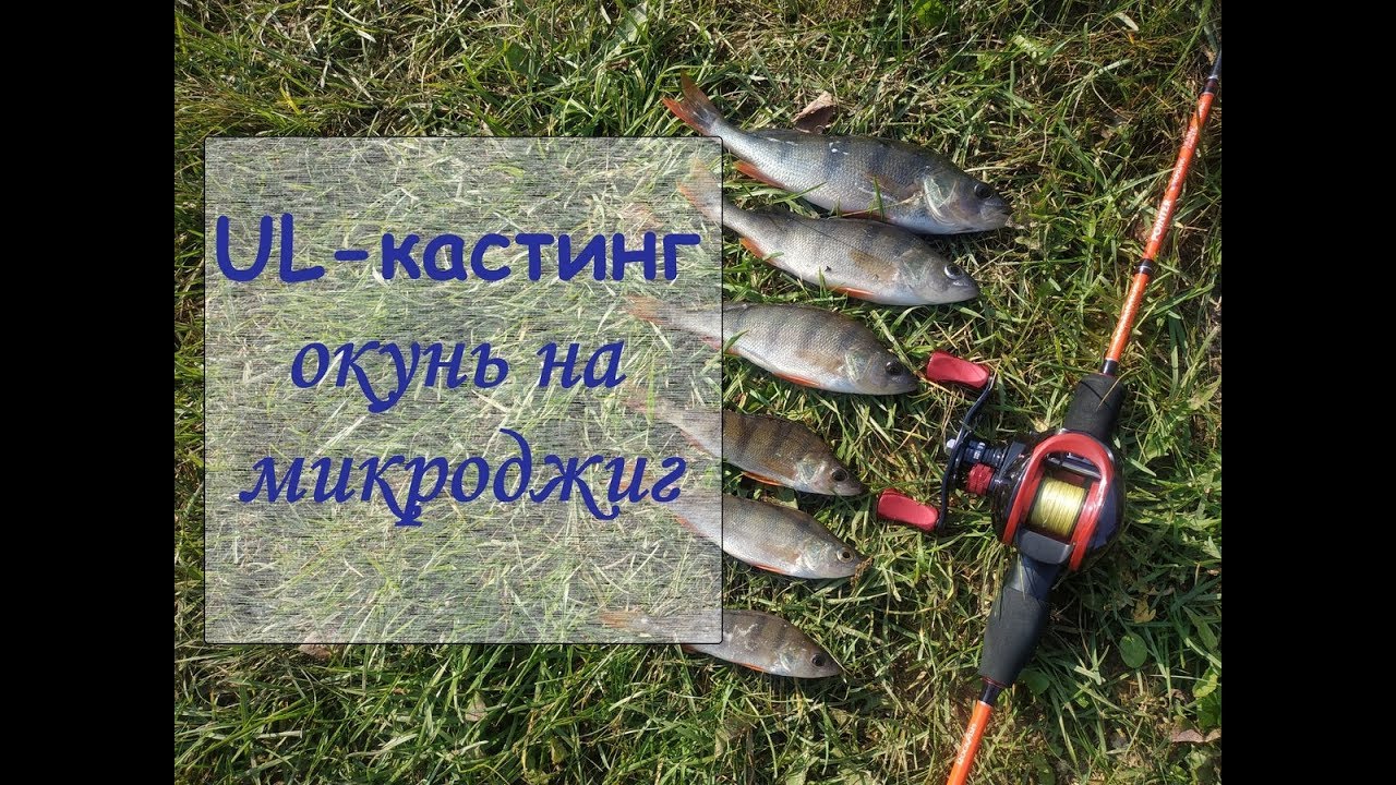 Микроджиг на оке