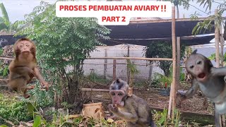 Download Lagu PROSES PEMBUATAN AVIARY UNTUK PARA MONYET‼️ MP3