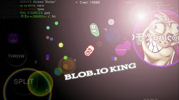 The Blob.io King👑