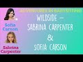 Wildside  sabrina carpenter  sofia carson lyrics  from disneys adventures in babysitting