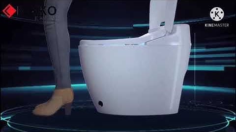 Bệt thông minh cảm ứng người đến Nhật Bản C1805S3