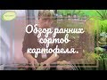 Обзор новинок раннего картофеля.  2018 год.  Марценюк Надежда