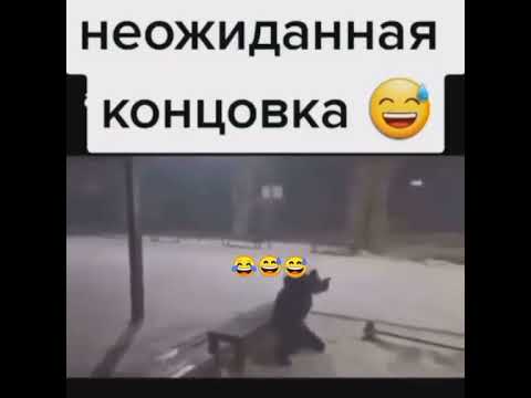 Неожиданная концовка🤣🤣🤣#shorts #shortvideo #юмор #приколы #смех #funny