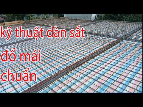 Video: Làm thế nào để loại bỏ mùi nước tiểu của mèo hoặc chó từ vải bọc đồ nội thất