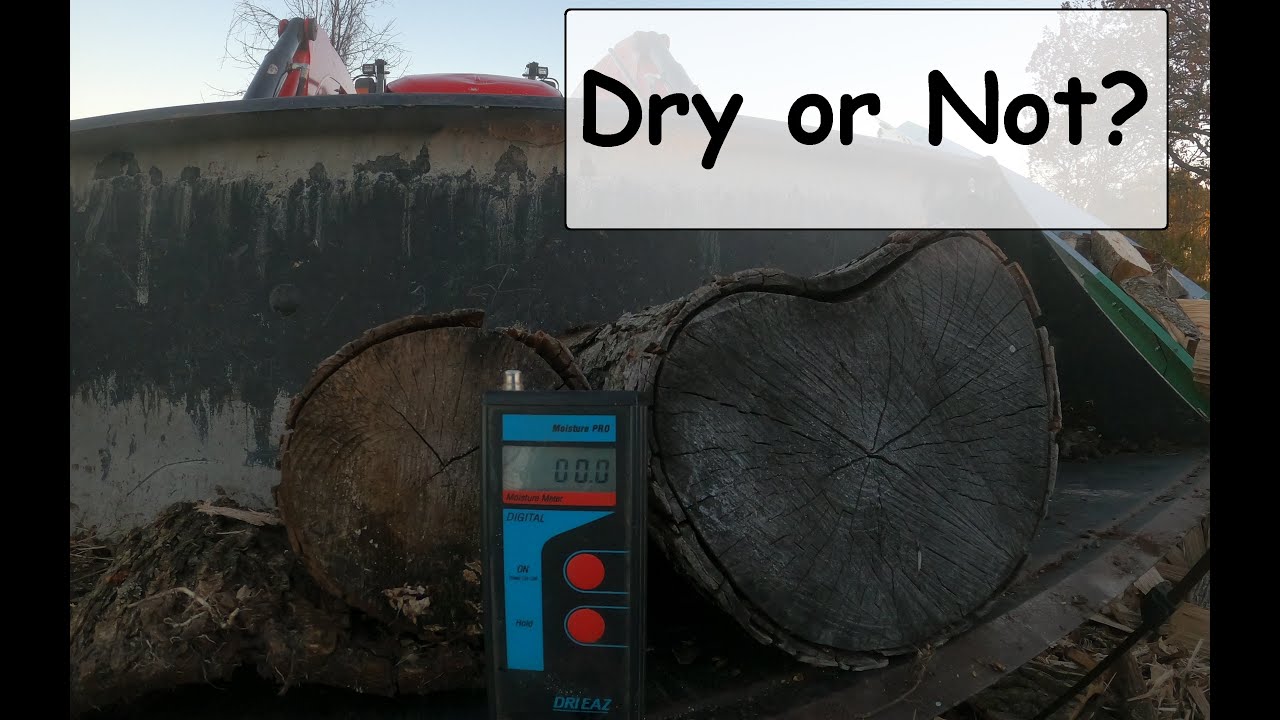 Do Firewood Rounds Actually Dry? YouTube