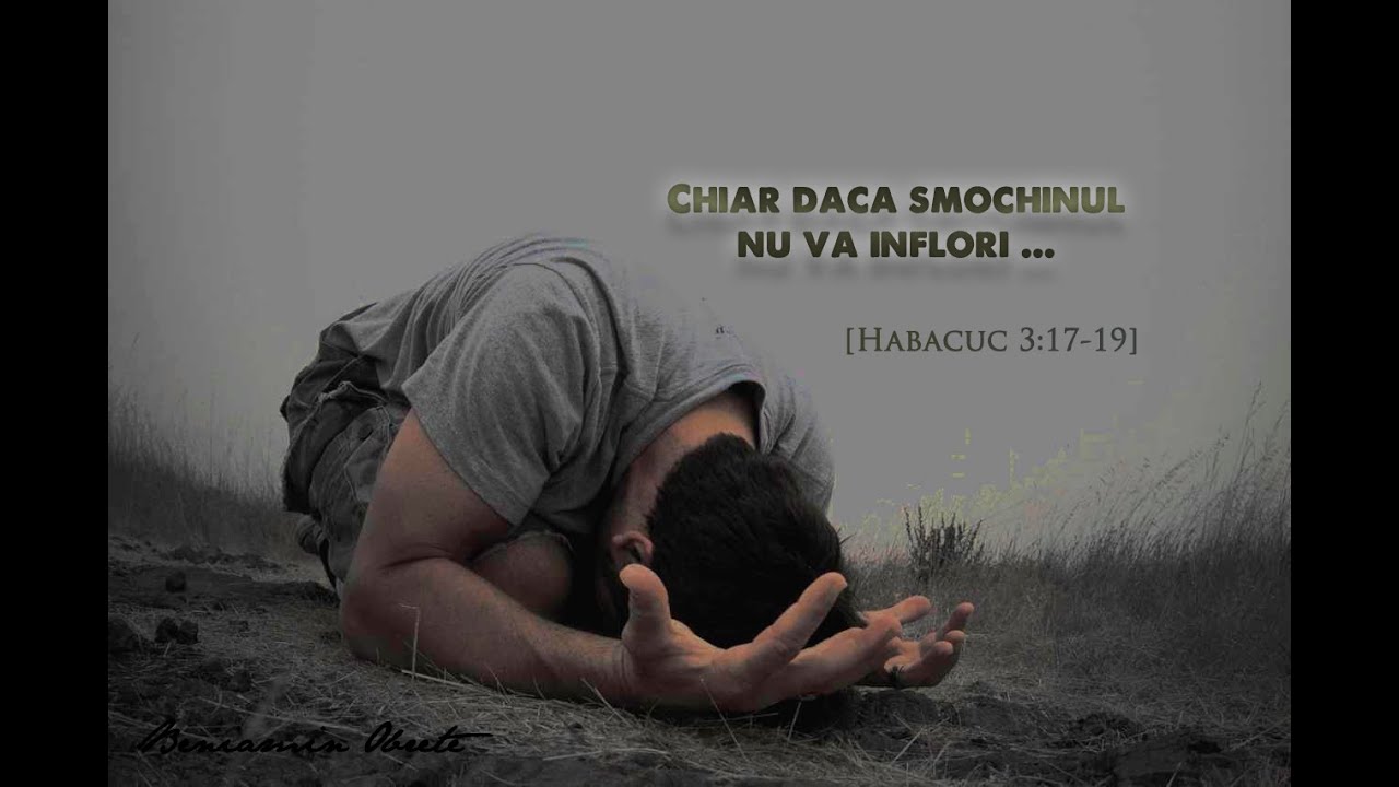 Chiar Daca YouTube