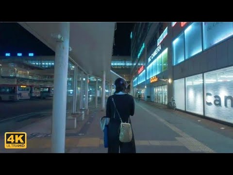 新潟の街歩き動画