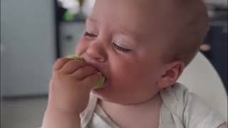 Baby eating Kiwi 🥝