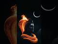 #LordShiva#Mahadev#OmNamahShivaya#HarHarMahadev#Bholenath#ShivShakti#ShivaParvati#ShivBhakt#tradin