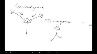 Physiology of CNS