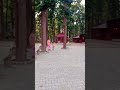 चुटिया वाले बाबा मंदिर,,देहरादून,#devbhoomiuttarakhand #shorts