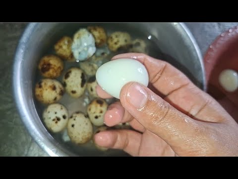 Masak Telur Puyuh Berapa Menit