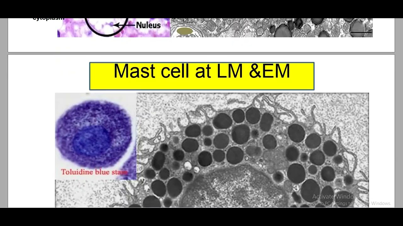 Practical connective tissues